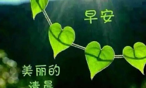 身上红肿挤出是个硬硬的东西-身上一挤会变红怎么办网 | 身上一挤就有小米粒一样的冒出来,身上一捏就有红印