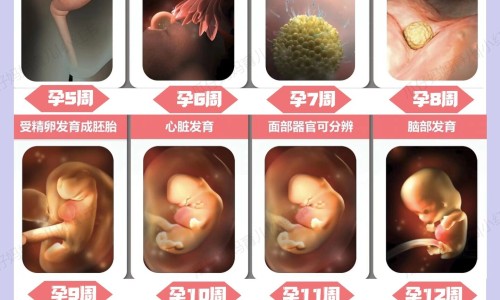 身上挤压后出现红痕像刮痧-身上一挤会变红怎么办网 | 身上一挤就有小米粒一样的冒出来,身上一捏就有红印